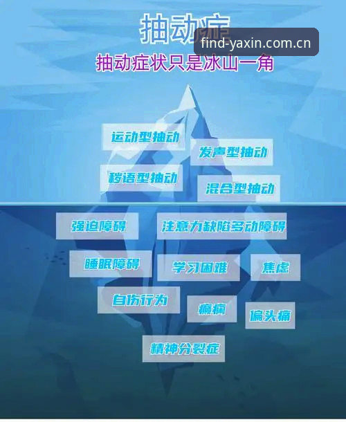 深度揭秘：YAXIN官方指定注册通道背后的真实体验与数据