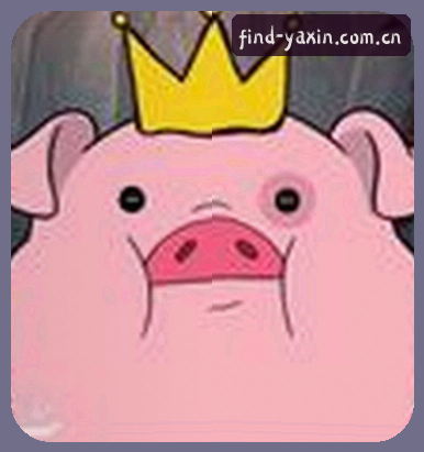小陈
